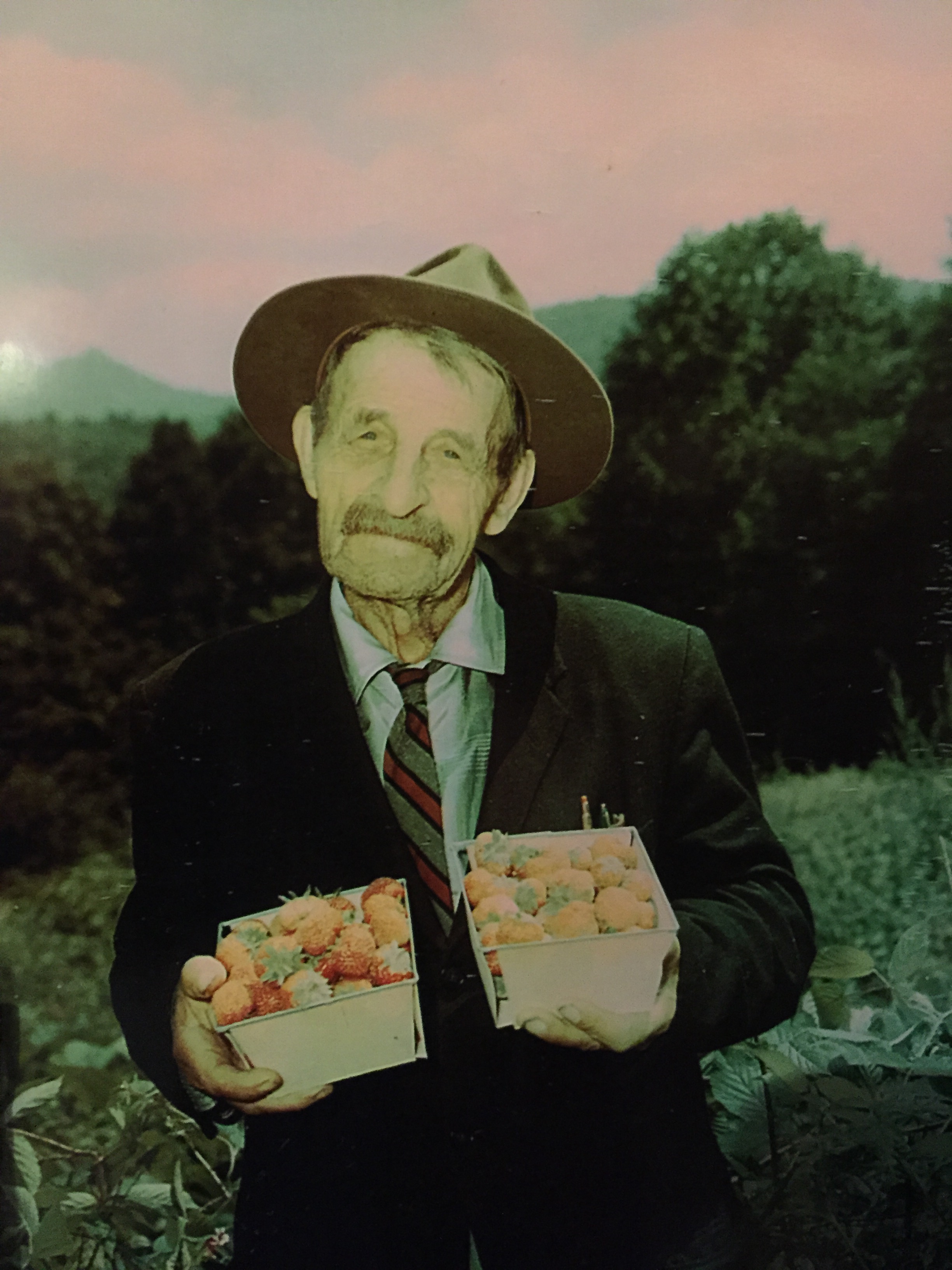 Joe Larkin Hartley with his prize-winning strawberries. Photo by Hugh Morton, found in the Hugh Morton Photographs and Films #P0081, copyright 1950s, North Carolina Collection, University of North Carolina at Chapel Hill Library.